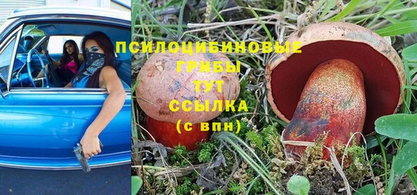 каннабис Арсеньев