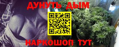 стаф Лесосибирск
