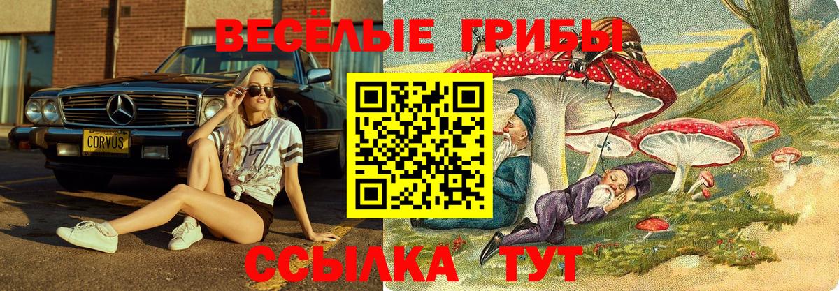 Галлюциногенные грибы мицелий Дмитров