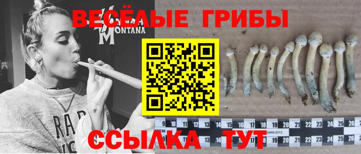 Дмитров  Галлюциногенные грибы MAGIC MUSHROOMS  Вход с VPN 